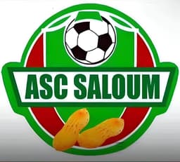 Logo ASC SALOUM