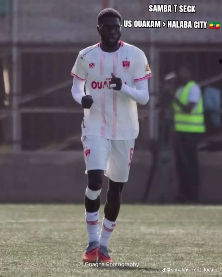 Illustration : Samba Toucouleur Seck rejoint Halaba City !