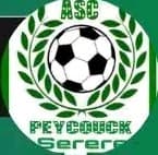 Logo Asc Peykouck
